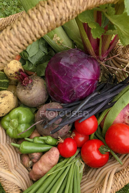 Panier rempli de fruits et légumes frais — Photo de stock