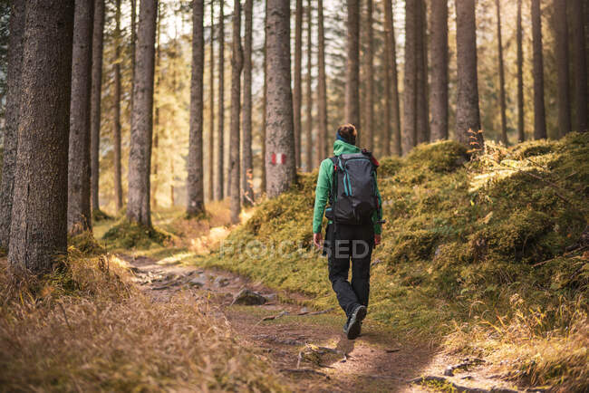 Wanderin im Herbstwald, Bad Gastein, Salzburg, Österreich — Stockfoto