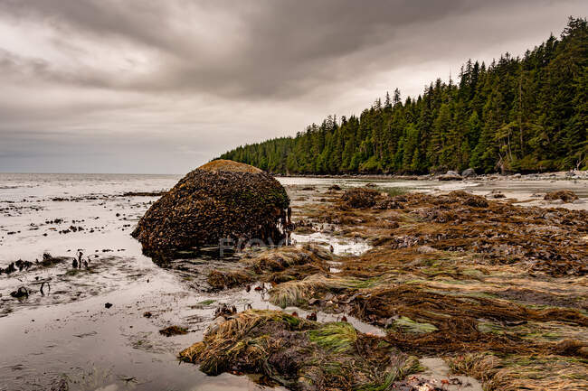 Mystic Beach, Île de Vancouver, Colombie-Britannique, Canada — Photo de stock