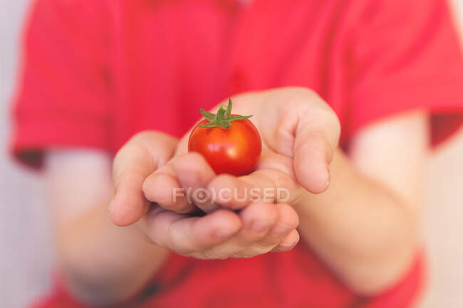Garçon tenant une tomate — Photo de stock