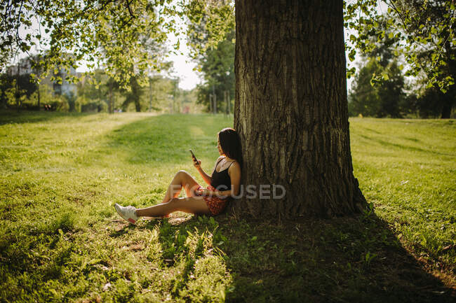 Женщина сидит под деревом и смотрит на свой мобильный телефон, Сербия — стоковое фото