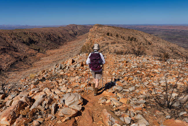 Жінка подорожує по дорозі Ларапінта, національний парк Західний Макдоннелл, Північна територія, Австралія — стокове фото