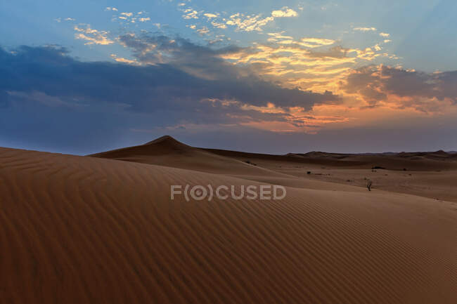 Vista de las dunas del desierto bajo el cielo del atardecer, Arabia Saudita - foto de stock