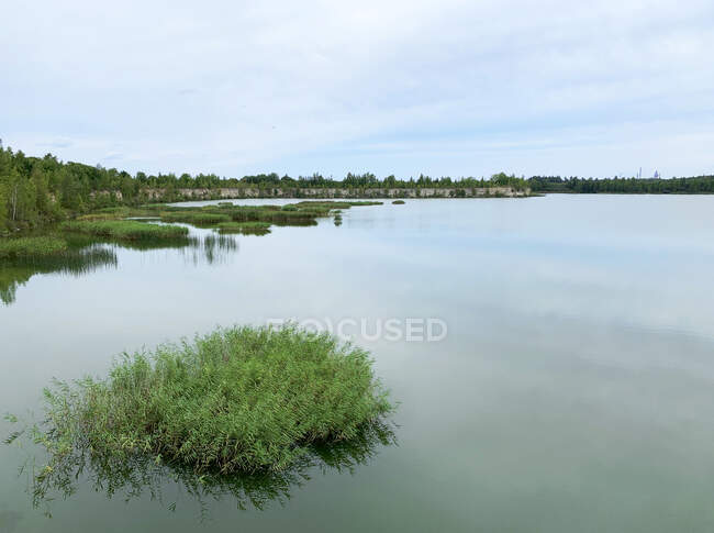 Floresta à beira de um lago, Lituânia — Fotografia de Stock