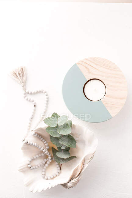 Necklace, eucalyptus in a seashell next to a candle — Stock Photo