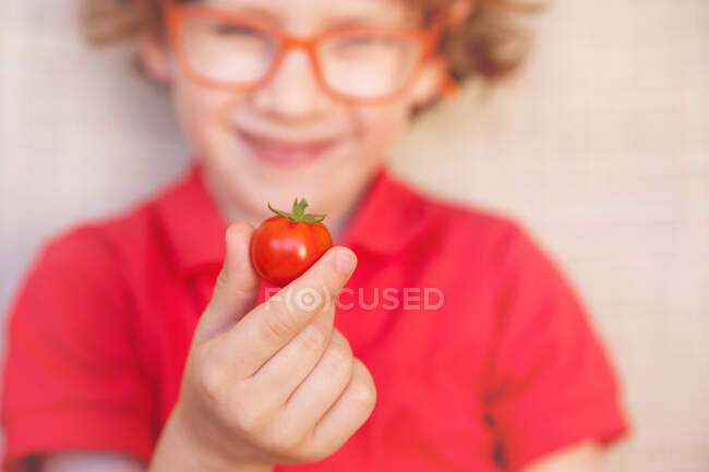 Souriant garçon tenant une tomate — Photo de stock