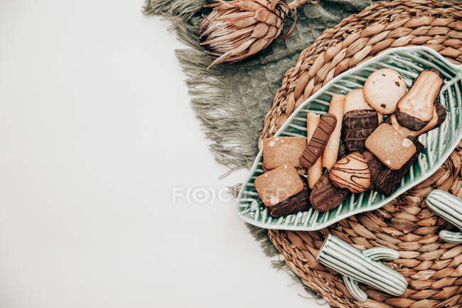 Ceramic cacti, cookies and a protea flower — Stock Photo