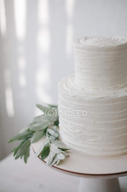 Bolo de casamento de duas camadas simples com decoração de cereja e ramo de oliveira — Fotografia de Stock
