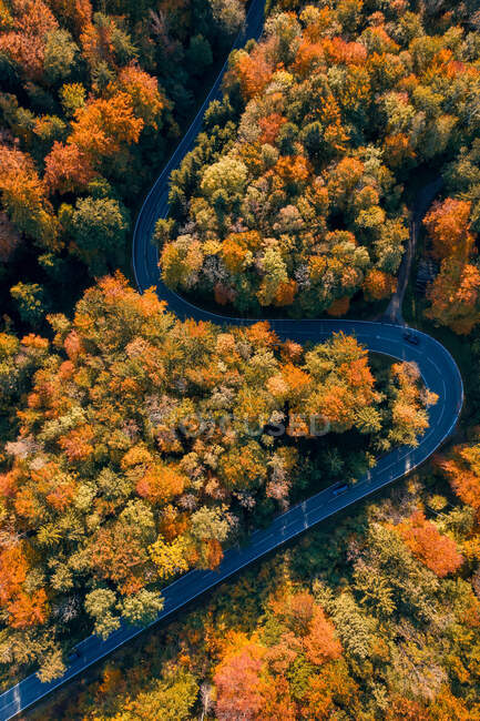 Повітряний вид автомобіля, що їде осіннім лісом (Зальцбург, Австрія). — стокове фото