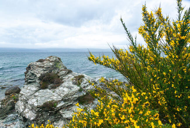 Сільський ландшафт, острів Арран, Шотландія, Велика Британія — стокове фото