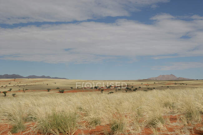 Wüstenlandschaft, Namib-Naukluft Nationalpark, Namibia — Stockfoto