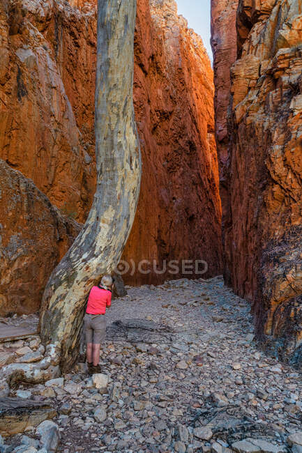 Viaggiatore donna in Standley Chasm, West MacDonnell National Park, Northern Territory, Australia — Foto stock