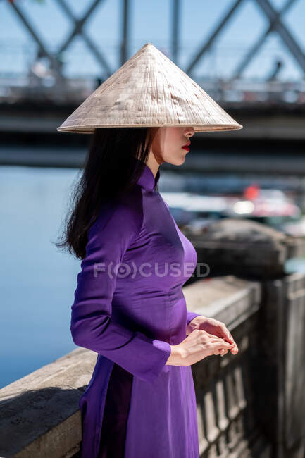 Retrato de una hermosa mujer con ropa tradicional y sombrero cónico, Vietnam - foto de stock