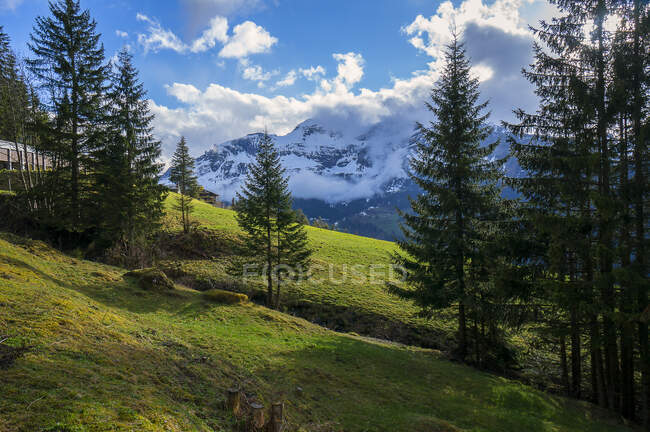 Горный пейзаж, Регион Юнгфрау, Бернские Альпы, Швейцария — стоковое фото