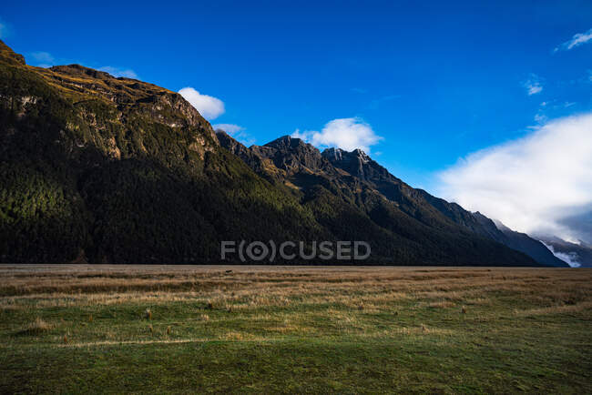 Ellington Valley, Fiordland National Park, Southland, South Island, Nueva Zelanda - foto de stock