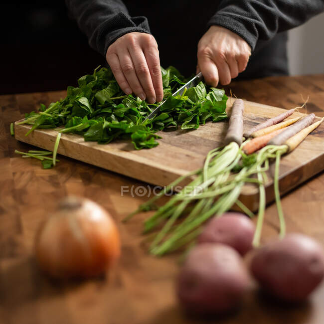 Femme hachant des légumes frais — Photo de stock