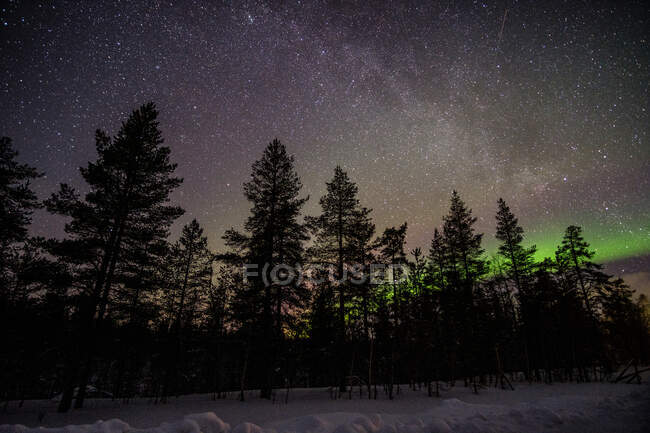 Larga exposición de Northern Lights sobre el paisaje forestal invernal, Laponia, Finlandia - foto de stock