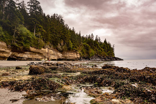 Mystic Beach, Vancouver Island, British Columbia, Kanada — Stockfoto