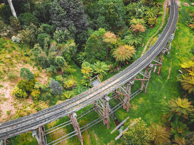 Monbulk Creek Trestle bridge, Dandenong Ranges, Victoria, Austrália — Fotografia de Stock