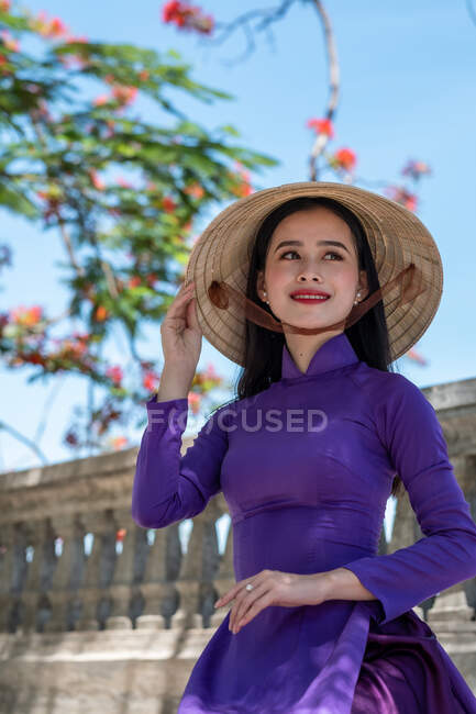 Porträt einer schönen Frau in traditioneller Tracht und konischem Hut, Vietnam — Stockfoto