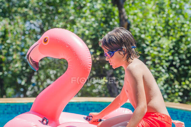 Niño sentado en un flamenco inflable en una piscina, Bulgaria - foto de stock