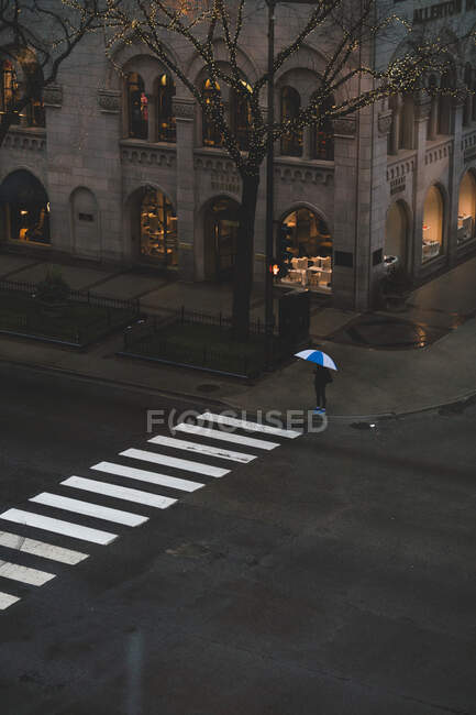 Vista aérea de una mujer con un paraguas de pie en un cruce de cebra, Chicago, Illinois, Estados Unidos - foto de stock
