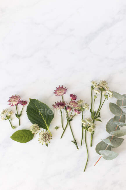 Wild flower arrangement on marble — Stock Photo