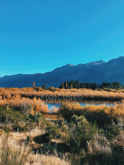 Сельский пейзаж недалеко от Куинстауна, Южный остров, Новая Зеландия — стоковое фото