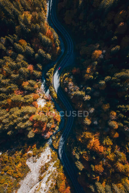 Luftaufnahme eines Autos, das durch einen Herbstwald fährt, Salzburg, Österreich — Stockfoto