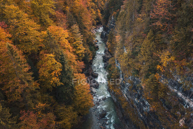 Vista aérea de un río que atraviesa un bosque otoñal, Salzburgo, Austria - foto de stock
