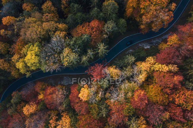 Вид с воздуха на автомобиль, проезжающий через осенний лес, Зальцбург, Австрия — стоковое фото