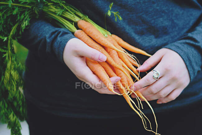 Giovane donna in possesso di carote appena raccolte — Foto stock