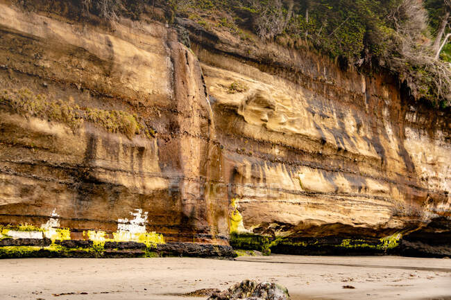 Sandstone cliff on Mystic Beach, Vancouver Island, British Columbia, Canada — Stock Photo