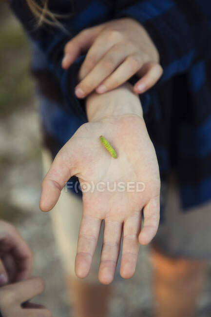 Menino segurando uma lagarta, Dinamarca — Fotografia de Stock