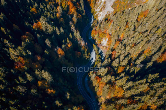 Vista aérea de un coche que conduce a través de un bosque de otoño, Salzburgo, Austria - foto de stock
