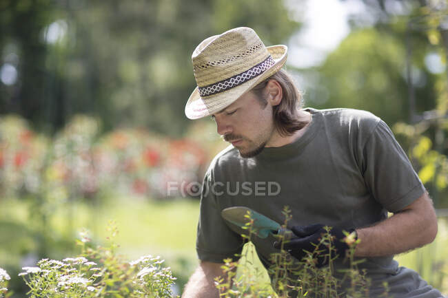 Retrato de un hombre jardinería, Alemania - foto de stock