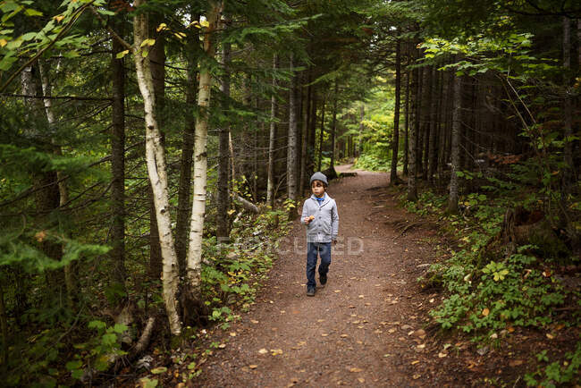 Мальчик, гуляющий в лесу, Соединенные Штаты — стоковое фото