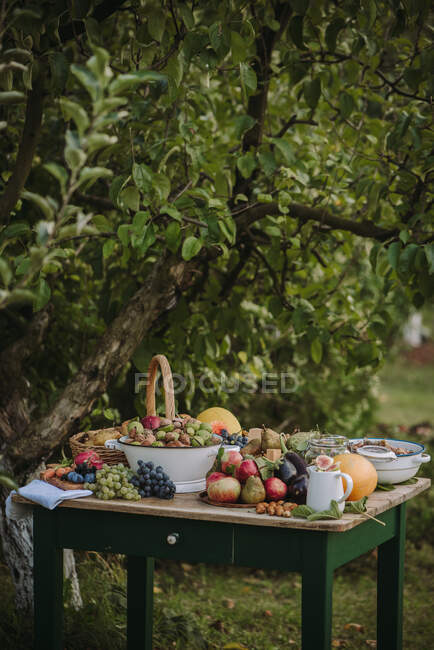 Garden table with fresh fruit, vegetables and nuts — Stock Photo