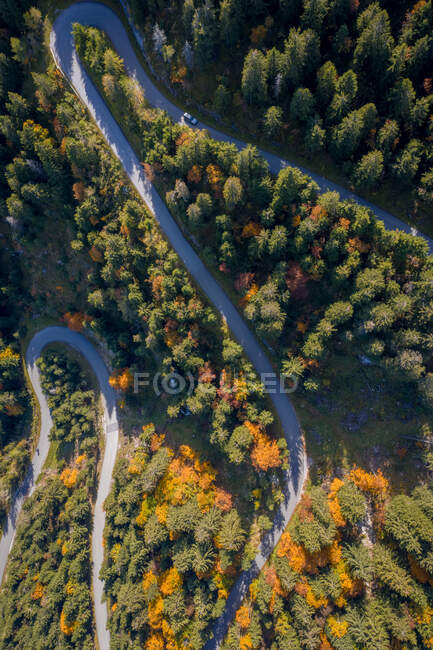 Luftaufnahme von Autos, die auf einer kurvenreichen Straße durch einen Herbstwald fahren, Salzburg, Österreich — Stockfoto