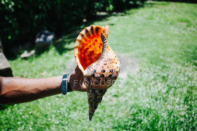 Mann steht in einem Garten mit einer Muschel, Seychellen — Stockfoto