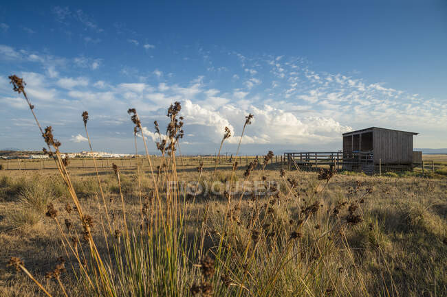 Bird observatory, Strait Natural Park, Tarifa, Cadiz, Andalusia, Spain — Stock Photo