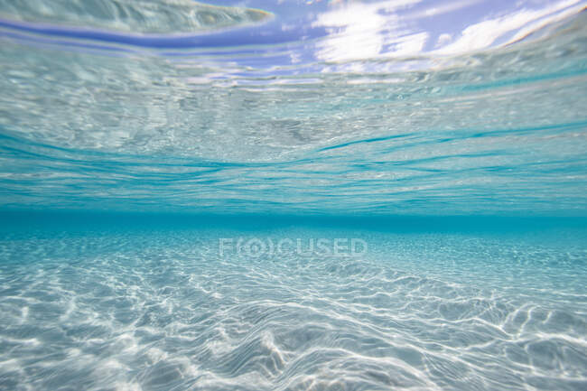Unterwasser-Meerblick, Australien — Stockfoto