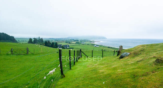 Paisaje rural, Isla de Arran, Escocia, Reino Unido - foto de stock