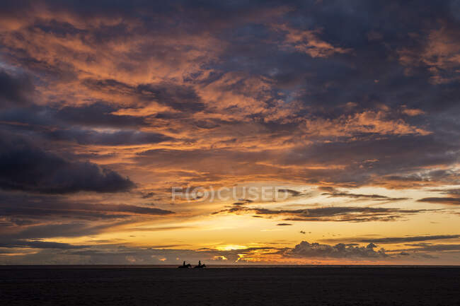 Силуэты двух людей верхом на лошадях на пляже на закате, Фауфа, Кадис, Андалусия, Испания — стоковое фото