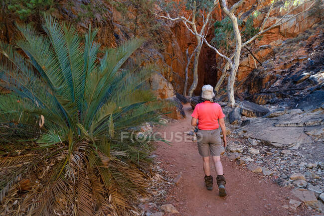 Femme voyageuse dans Standley Chasm, West MacDonnell National Park, Territoire du Nord, Australie — Photo de stock