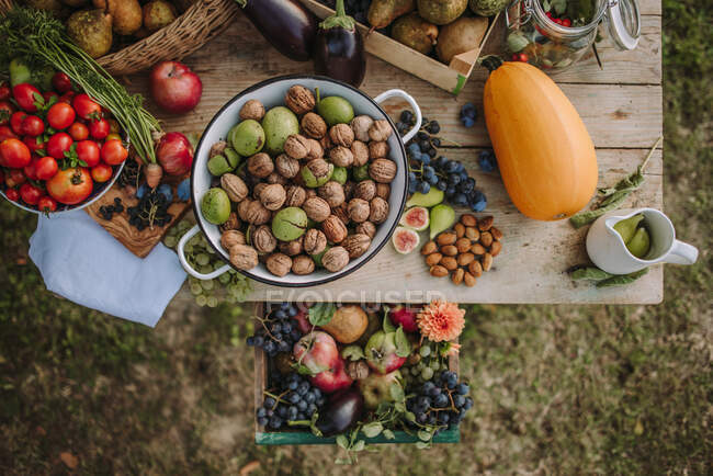 Overhead view of Autumn Fruit and vegetable arrangement on a garden table, Serbia — Stock Photo