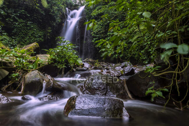 Cascada en una selva tropical, Indonesia - foto de stock