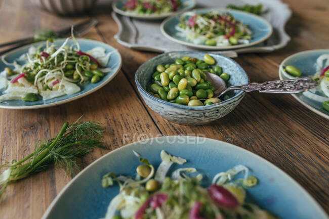 Saladas de rabanete com cebola vermelha, feijão edamame e brotos de feijão — Fotografia de Stock