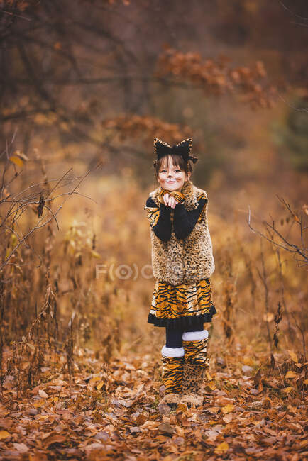 Girl in forest dressed as a tiger for Halloween, United States — Stock Photo