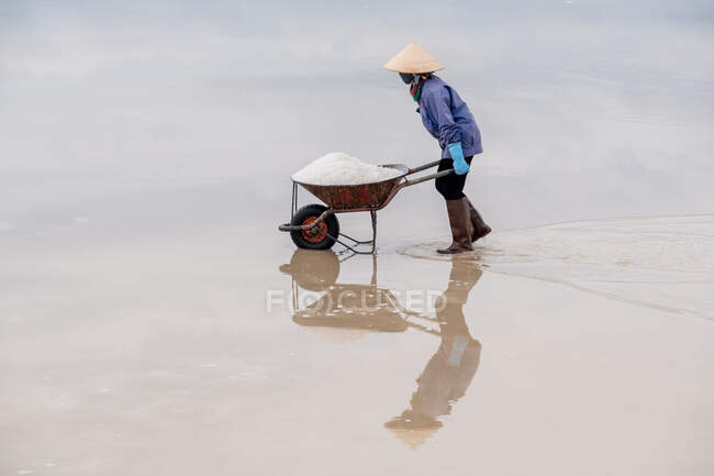 Salt farmer pushing a wheelbarrow filled with salt, Nha Trang, Vietnam — Stock Photo